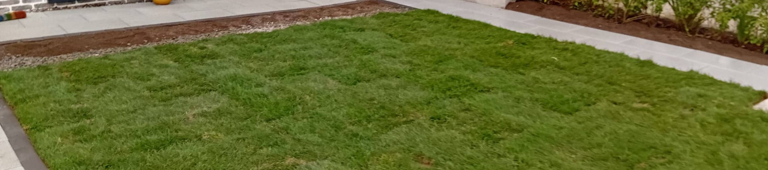 before and after garden