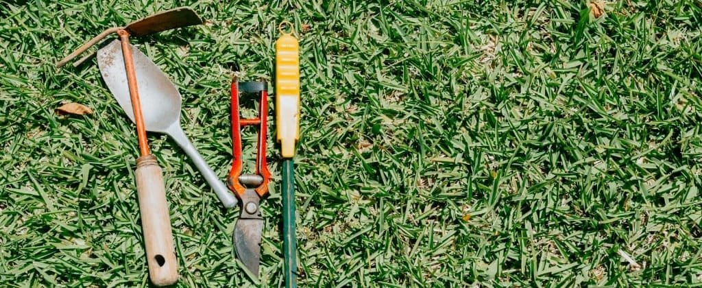 Lawn Care