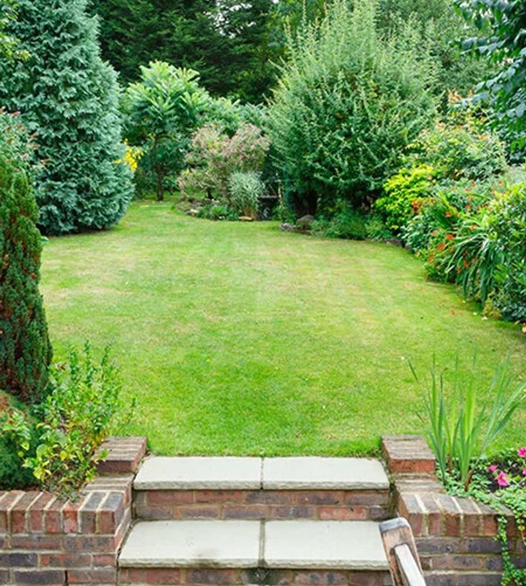 Landscaped backyard with lawn and patio