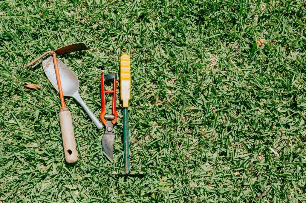 Gardening tools on a green lawn